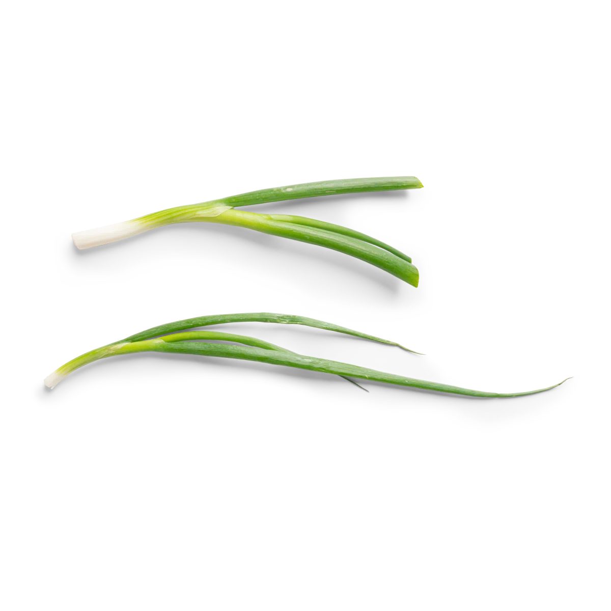 Bio Leek